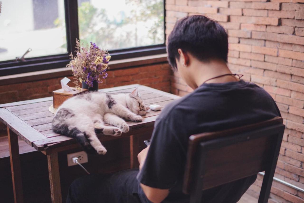 Suneta Hostel Chiangmai Čiang Mai Exteriér fotografie